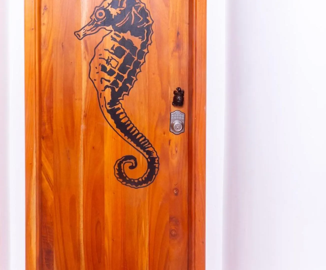 Bed & Breakfast Bed and Breakfast Pacific Blue House Puerto Ayora  Ecuador