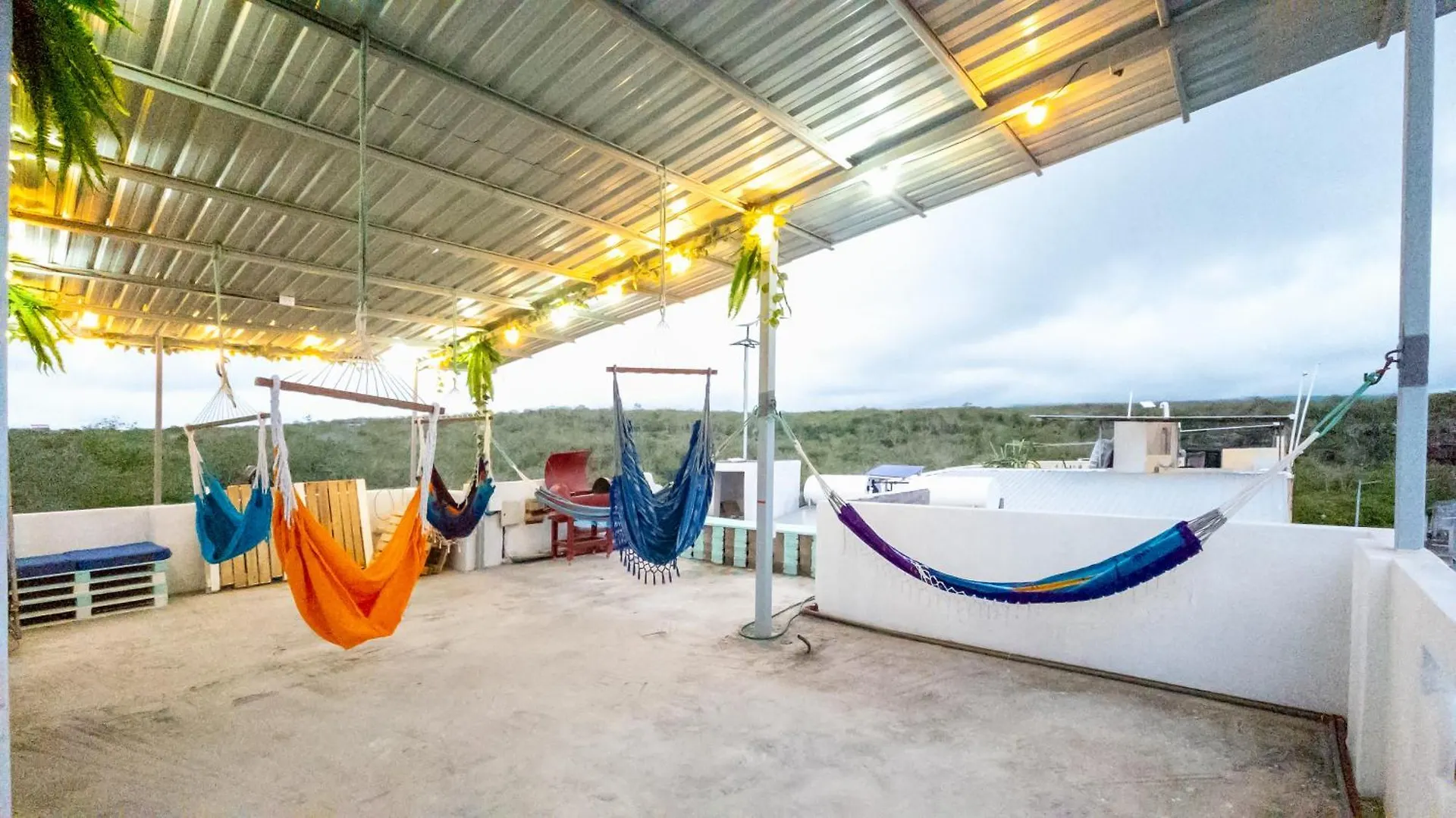 Bed & Breakfast Bed and Breakfast Pacific Blue House Puerto Ayora